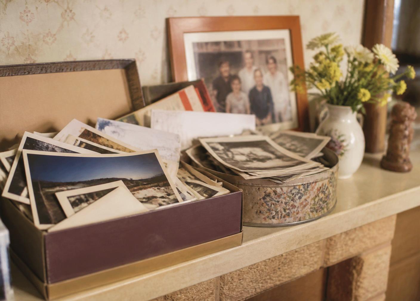 A curator's desk with an open card catalogue drawer of vintage postcards, cotton gloves and a magnifying glass under lamplight